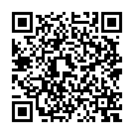 QR code for SV94256