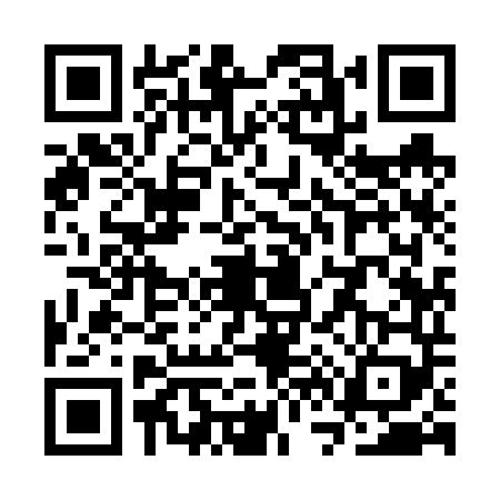QR code for SV96499