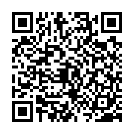 QR code for SV97617