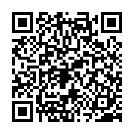 QR code for SW11238