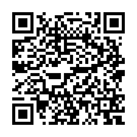 QR code for SW96619