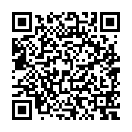 QR code for SX03981