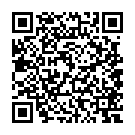 QR code for SX60491