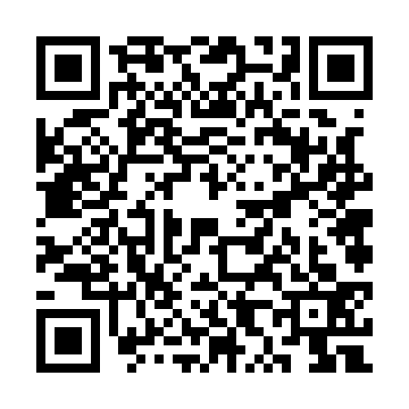 QR code for SX61334