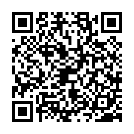 QR code for SX80013