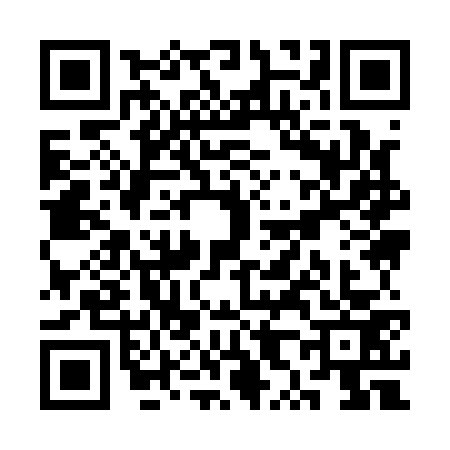 QR code for SX91737