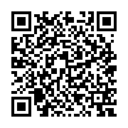 QR code for SY53613