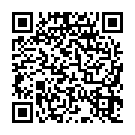 QR code for TC11333