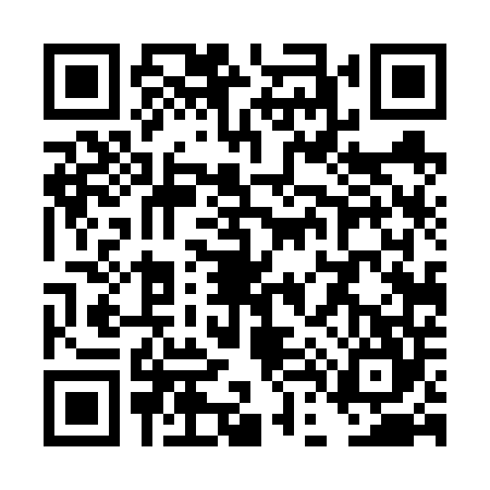 QR code for TD46441