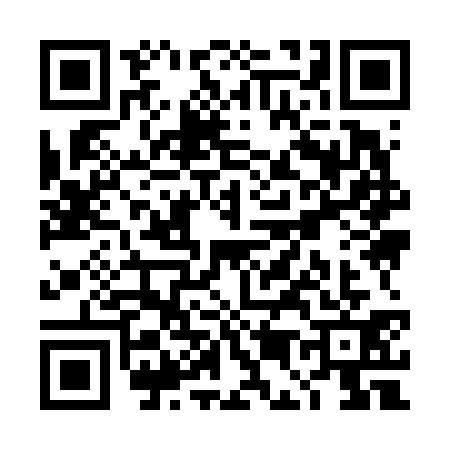 QR code for TE96317