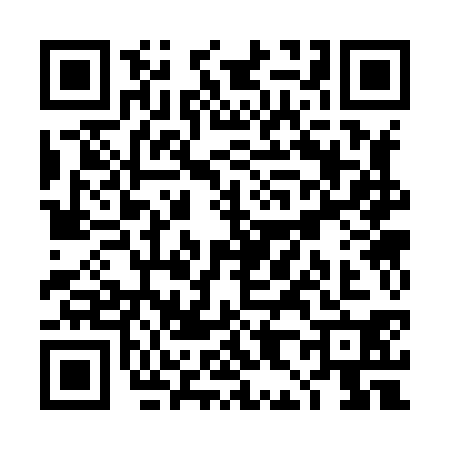 QR code for TH38301