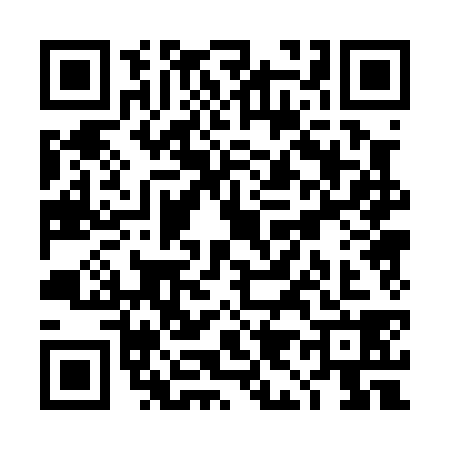 QR code for TI00381