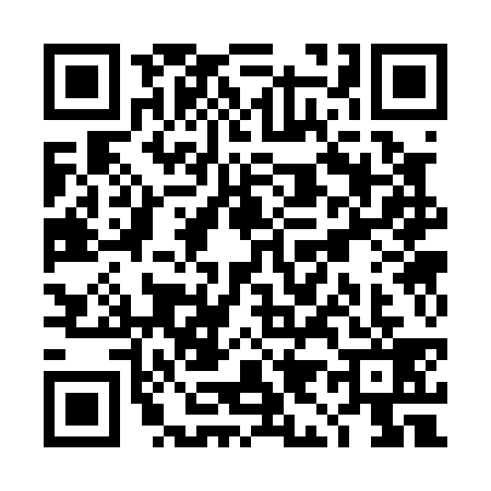 QR code for TI30399