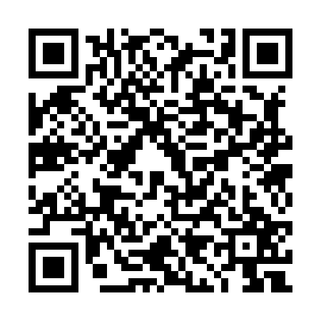 QR code for TI38270