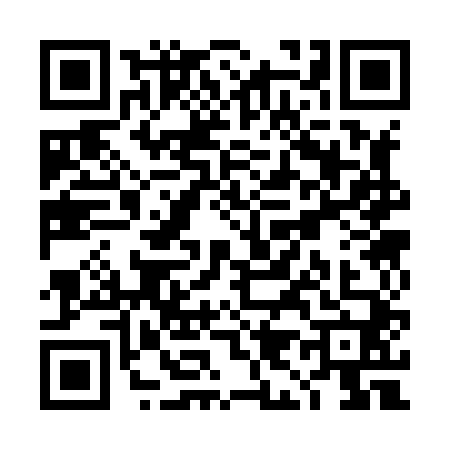 QR code for TI38401