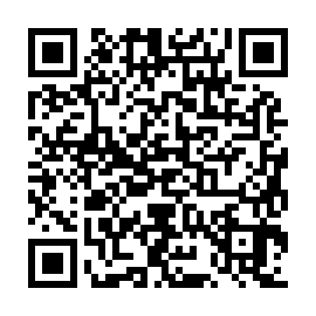 QR code for TI39838