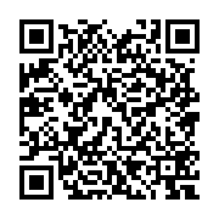 QR code for TI85596