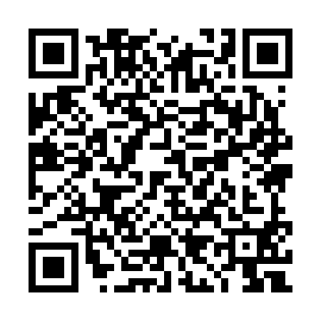 QR code for TI92905