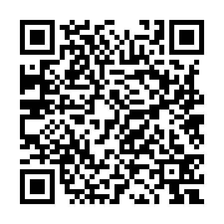 QR code for TJ29334