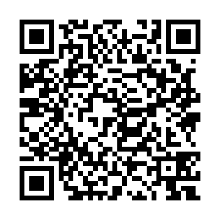 QR code for TJ91383