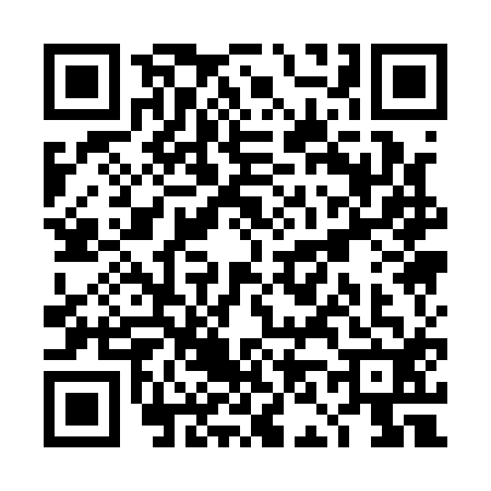 QR code for TN11127