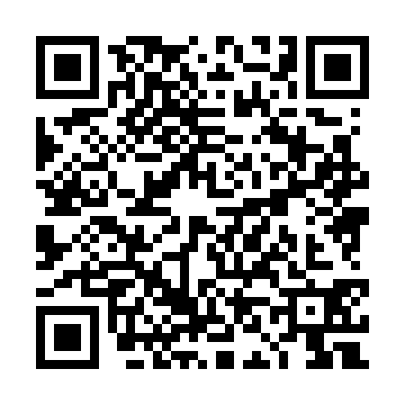 QR code for TN87300