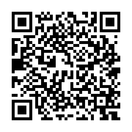 QR code for TO13447