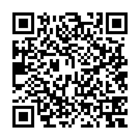 QR code for TO25384