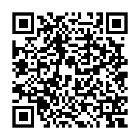 QR code for TP00243
