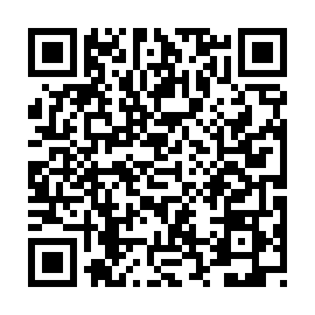 QR code for TR04487
