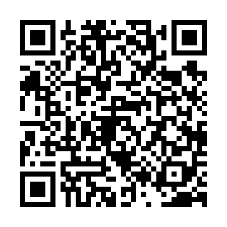 QR code for TR06587