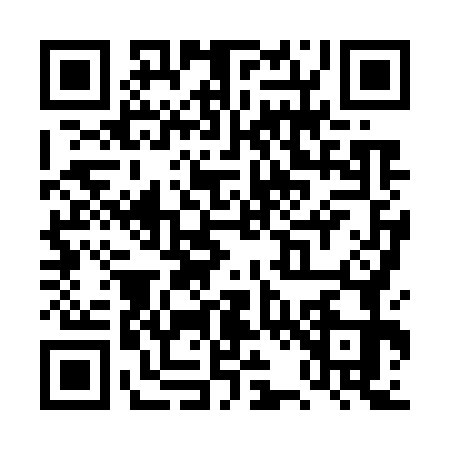 QR code for TR87739