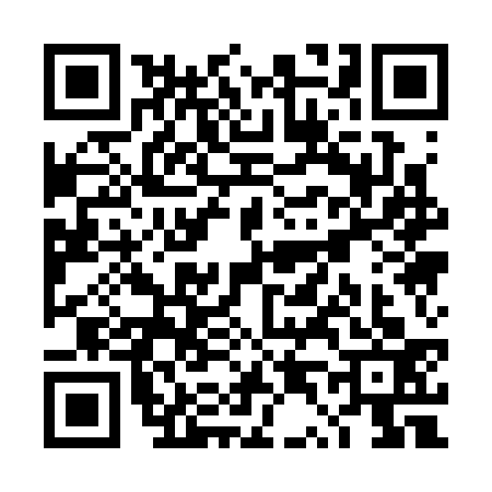 QR code for TT13335