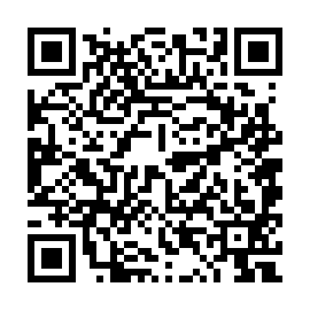 QR code for TT63934