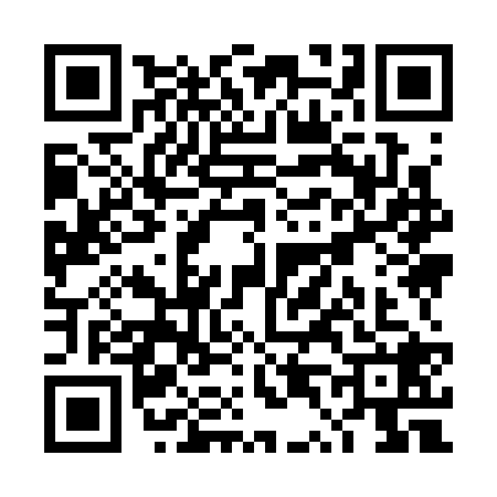 QR code for TT93285