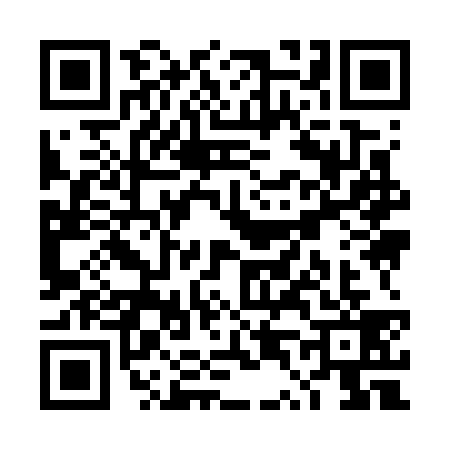 QR code for TT97395