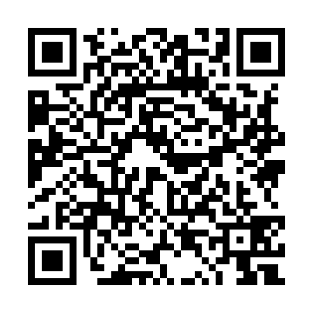 QR code for TT99394