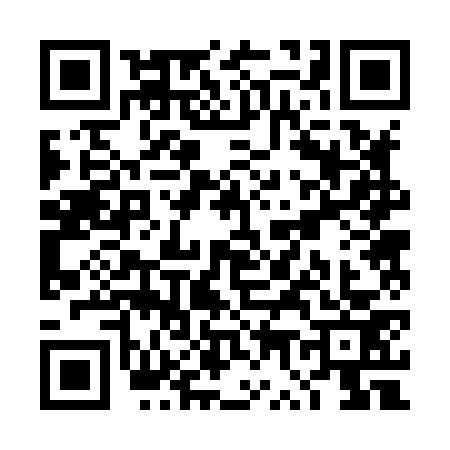 QR code for TW28739