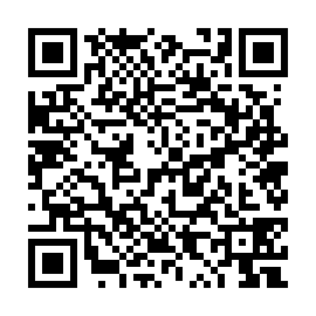 QR code for TX77386