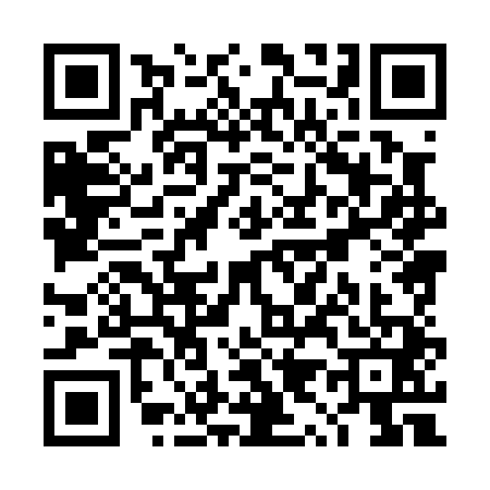 QR code for TY80411