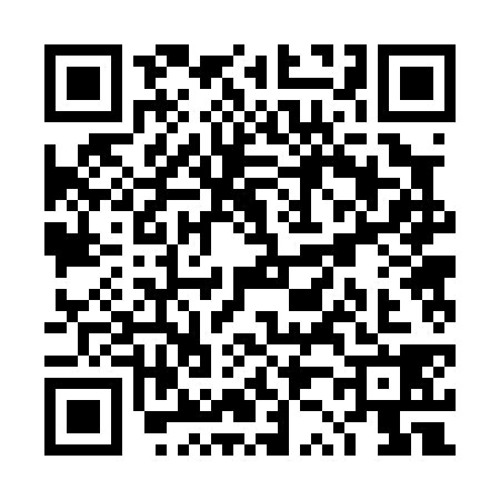 QR code for TZ20383