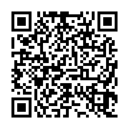 QR code for TZ29638