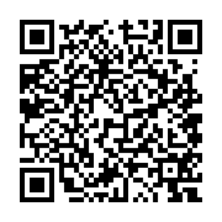 QR code for TZ63541