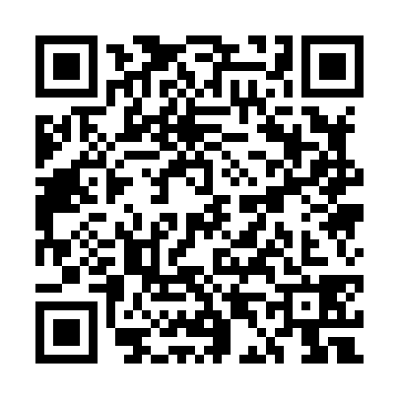 QR code for UD18383