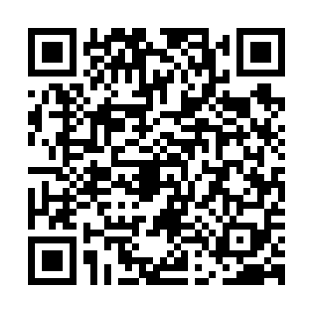 QR code for UD56597