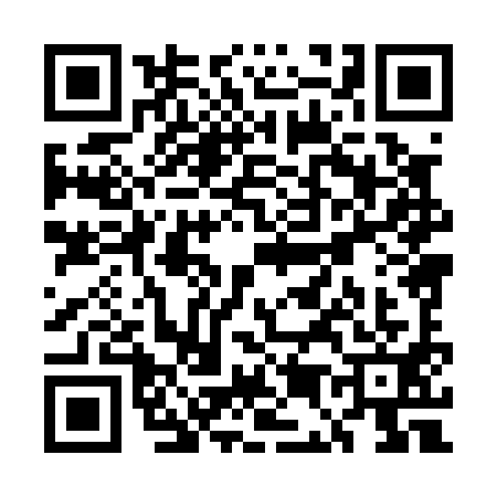 QR code for UE80919