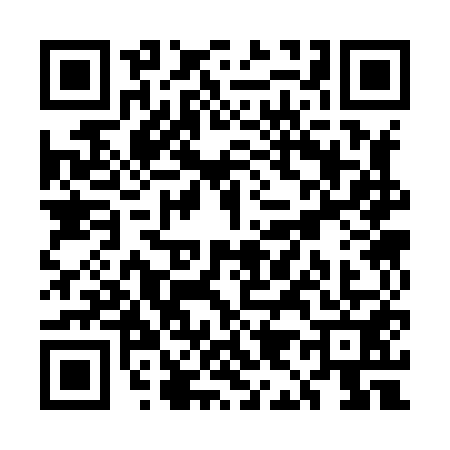 QR code for UI38511