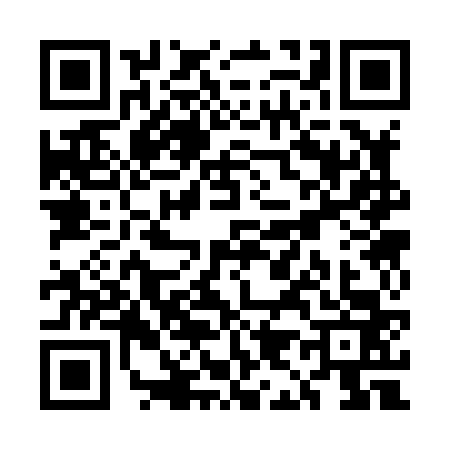 QR code for UI38636