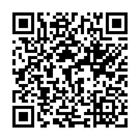 QR code for UI87333