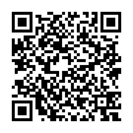 QR code for UI95398